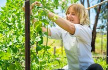 McLaren Vale 4x4 Premium Food and Wine Tour with Private Lunch