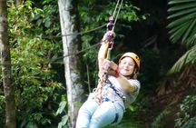 Miraflores Locks+ Sloth Sanctuary + Canopy in Gamboa Rain Forest