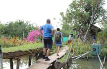 Can Tho day tour: fruit garden&floating fish farm in Son islet