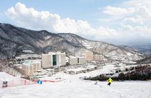 Vivaldi Park Winter Ski Resort with Nami Island Tour from Seoul