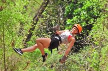  Zip line and Monkey Park Activity at Guanacaste