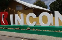 e-Scavenger hunt by car or scooter: 'Explore the Rincon Valley'