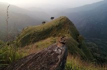 Explore the best of Ella. Hiking, waterfalls and cultural tour