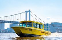 Tokyo Water Taxi Heritage Tour