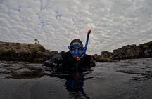 From Reykjavik- Silfra Snorkeling transfer included