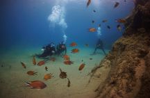 Beginner dive from Playa Chica with Instructor