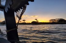 Private Tour in Aswan : Felucca and Nubian village