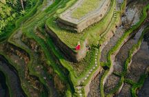 UBUD Instagram Spot Tour with Photographer