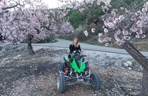1 Hour Quad / ATV Tour through the Altea Jungle