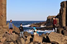 Private tour of Kiama Blowholes, Sea Cliff Bridge and Wattamolla