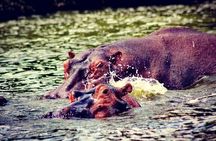 2-Day Wildlife Safari in Lake Mburo National Park