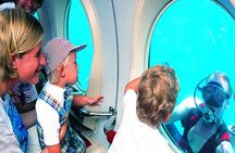 Submarine tour Tenerife: a 1 hour underwater experience