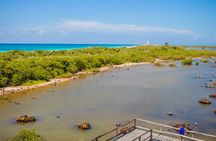 Private Buggy Tour and Punta Sur Park: All-Inclusive