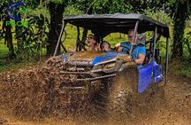 PRIVATE - Side by Side Tour (Arenal Volcano) 2 - 5 people