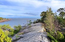 Archipelago Forest Bathing Escape – From City to Serenity