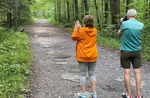 Over the Top Tour in Oconaluftee