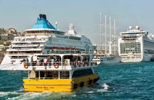 Istanbul Express: 2-Day City's Highlights Private Guided Tour