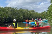 Mangroves and Mansions Guided Kayak Tour on the Noosa River