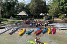 Mangroves and Mansions Guided Kayak Tour on the Noosa River
