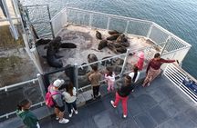 Half Day Experience In Robben Island From Cape Town