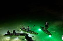 Sharkey's Glass Bottom Fish Feeding LED Night Tour in Clearwater
