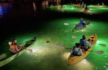Sharkey's Glass Bottom Fish Feeding LED Night Tour in Clearwater