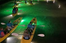 Sharkey's Glass Bottom Fish Feeding LED Night Tour in Clearwater
