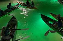 Sharkey's Glass Bottom Fish Feeding LED Night Tour in Clearwater