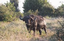 Full Day Guided Tour to Victoria Falls and Zambezi National Park
