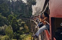 1 day Puffing Billy Steam Train and Wildlife Tour from Melbourne