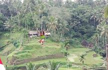 Full Day Mount Batur Sacred Monkey Forest Tour in Bali Island 