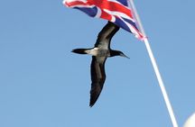 Dolphin Watching & Snorkelling Half Day Guided Tour Costa Rica