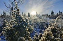 Discover Inari: Reindeer Farm, Siida Museum & Open Fire Lunch