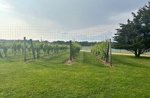 Full-Day Luxury Long Island Private Winery Tour