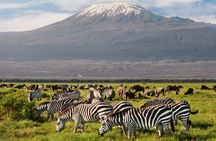Day tour to Amboseli National Park and Maasai Village