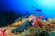 Scuba Diving Tour in Antalya with Lunch and Transfer