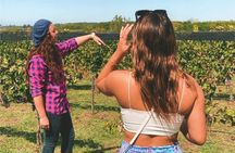 Enjoy a Rural Experience in a Vineyard near Buenos Aires