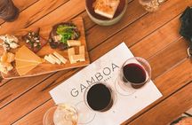 Enjoy a Rural Experience in a Vineyard near Buenos Aires