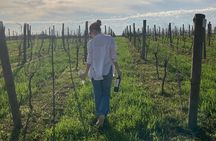 Enjoy a Rural Experience in a Vineyard near Buenos Aires