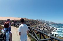 A Private Day Trip to Viña del Mar and Valparaíso from Santiago