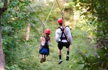 Day Trip to Kereita Forest and Ziplining 