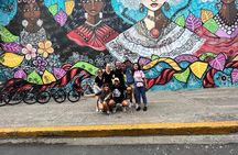 Bike Tour in Old City And Panama City with Local Markets 