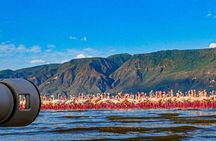 Escape to Lake Bogoria, Flamingo's new home for an overnight safari