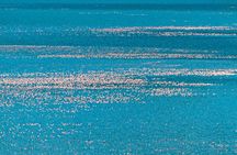 Escape to Lake Bogoria, Flamingo's new home for an overnight safari