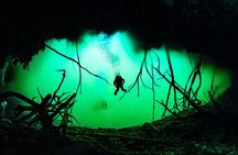 Private Scuba Diving in Cenote around Playa del Carmen
