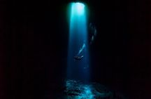 Private Scuba Diving in Cenote around Playa del Carmen