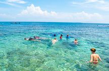 A whole day to the 5 Rosario Islands with snorkeling and plankton