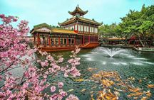 Shawan Old Town and Baomo Garden Private Day Tour in Guangzhou