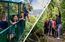St. Lucia Aerial Tram Tour at Rainforest Adventures