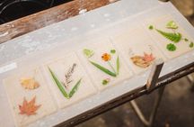Washi workshop in Shizenji 
